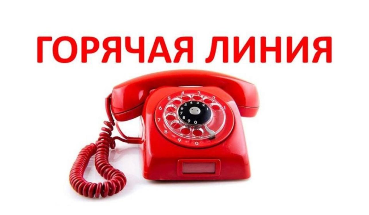 Телефоны "горячих линий".